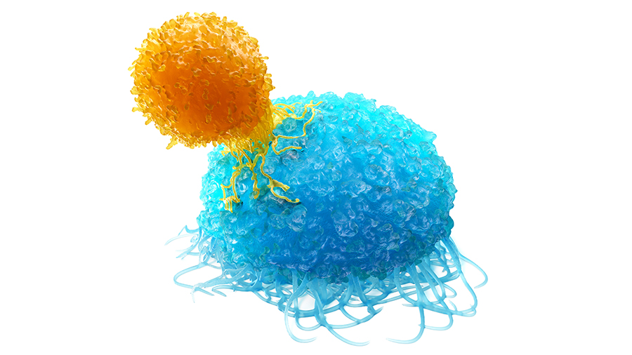 Digitally rendered image of a T-cell attacking a cancer tumour cell